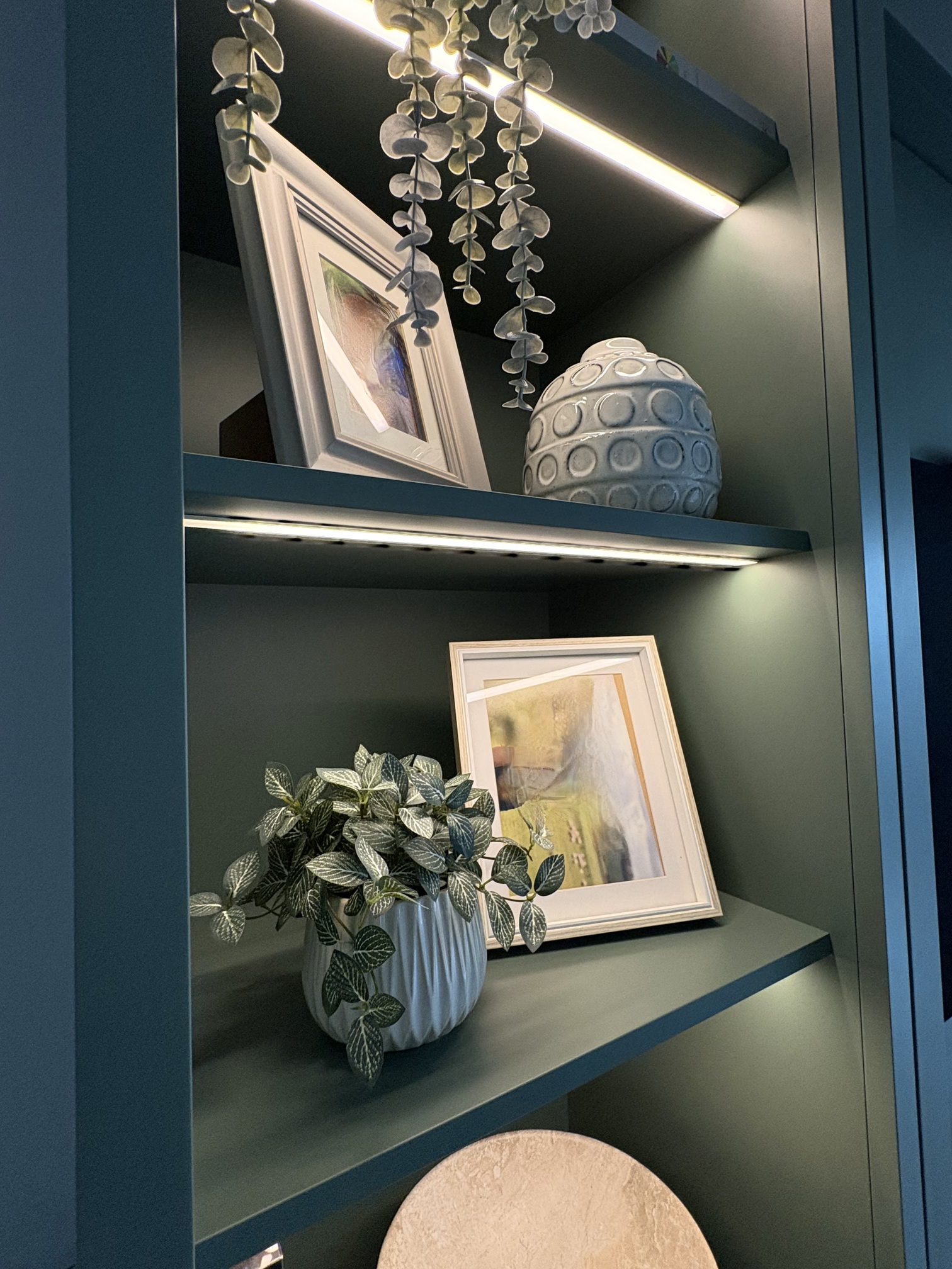 Media Unit in Newton Smooth Cactus 7